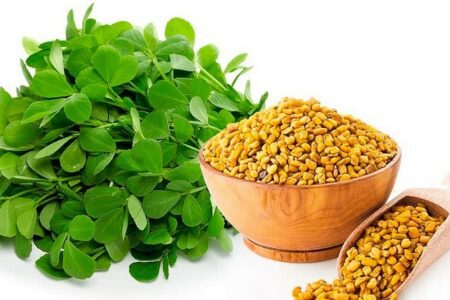 kozieradka na powiększenie biustu